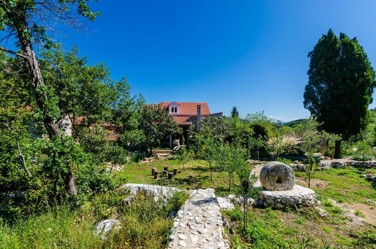 Korita